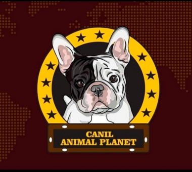 Canil Animal Planet