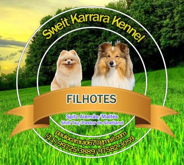 sweit-karrara-kennel